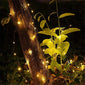 Copper Wire String Light Decorative Fairy Lights