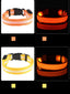 Nylon LED Night Safety Flashing Glow